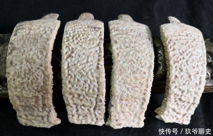 合浦经过一种代表币龟甲发现v代表,说:它情趣专家软件下载下载图片