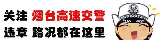 公安网驾驶证查询系统
