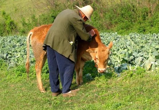 媳妇嫌弃我农村的父亲脏,让他睡过道,打开父亲