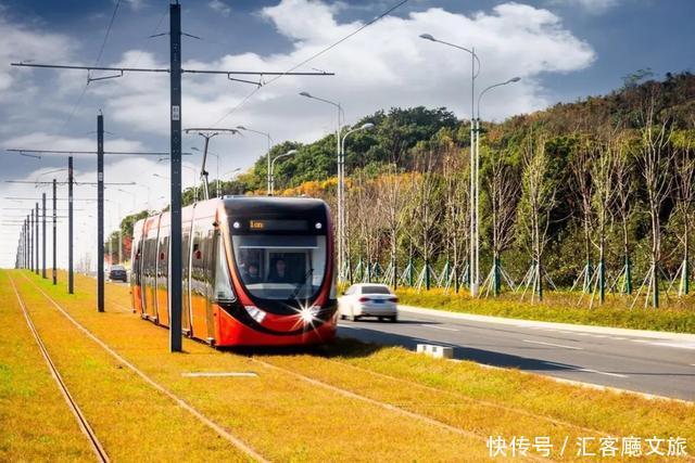 江浙沪又一网红打卡地!有轨电车穿过海棠花海,2元直达太湖
