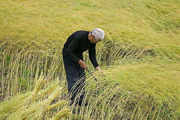 农民的辛酸:60多岁还要外出打工,什么时候才能真正“退休”?