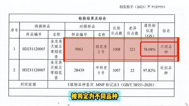 小蘇打能洗魚缸嗎視頻講解大全小蘇打能洗魚缸嗎視頻講解大全