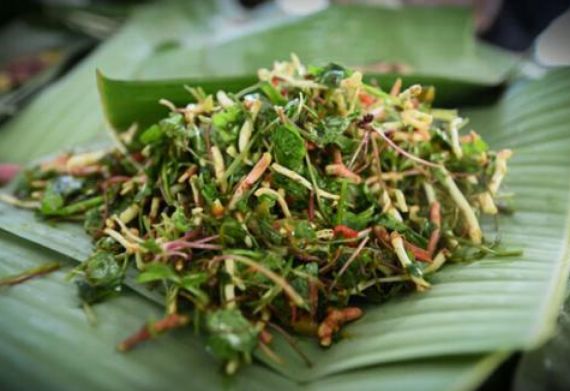 流口水!德宏这些野菜里,藏着春天的味道!