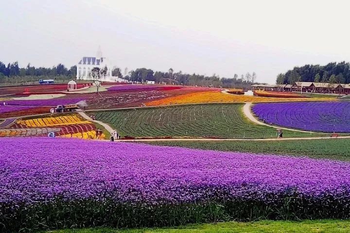 春节出国?不如去东北这个城市转一圈