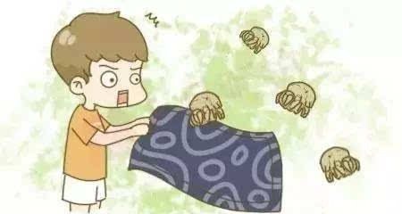 凉席不洗全是螨虫,当心被咬成荨麻疹!