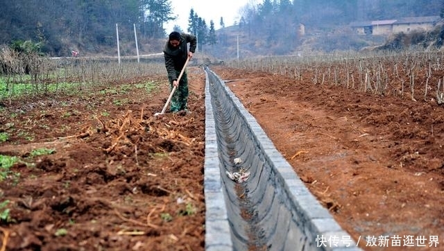 农村集体土地流转