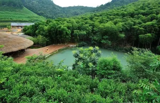 重磅!农村集体土地无须经国家征地即可进入市场,租赁住房、共享度