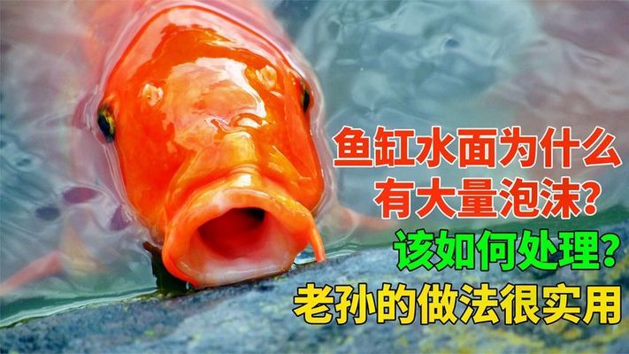 魚缸柜高度多少合適圖片（魚缸柜高度多少合適圖片大全）