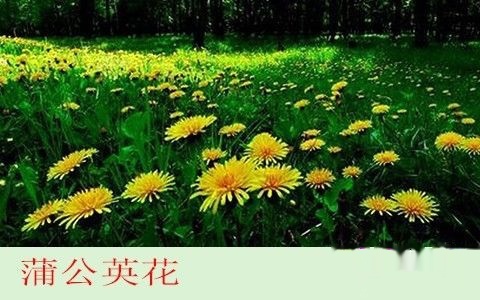 t017b544b661059ac32.jpg