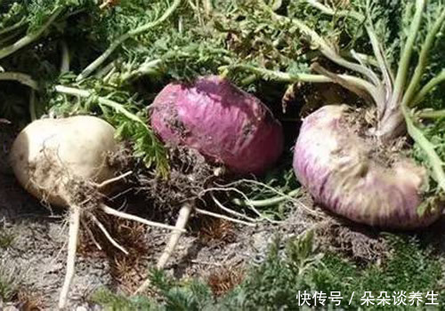 4岁男孩肝癌确诊到离世仅7个月,全因这种毒素,坚持两点很重要