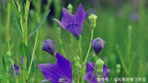 余生那么长,你别来,我无恙 凯发国际平台