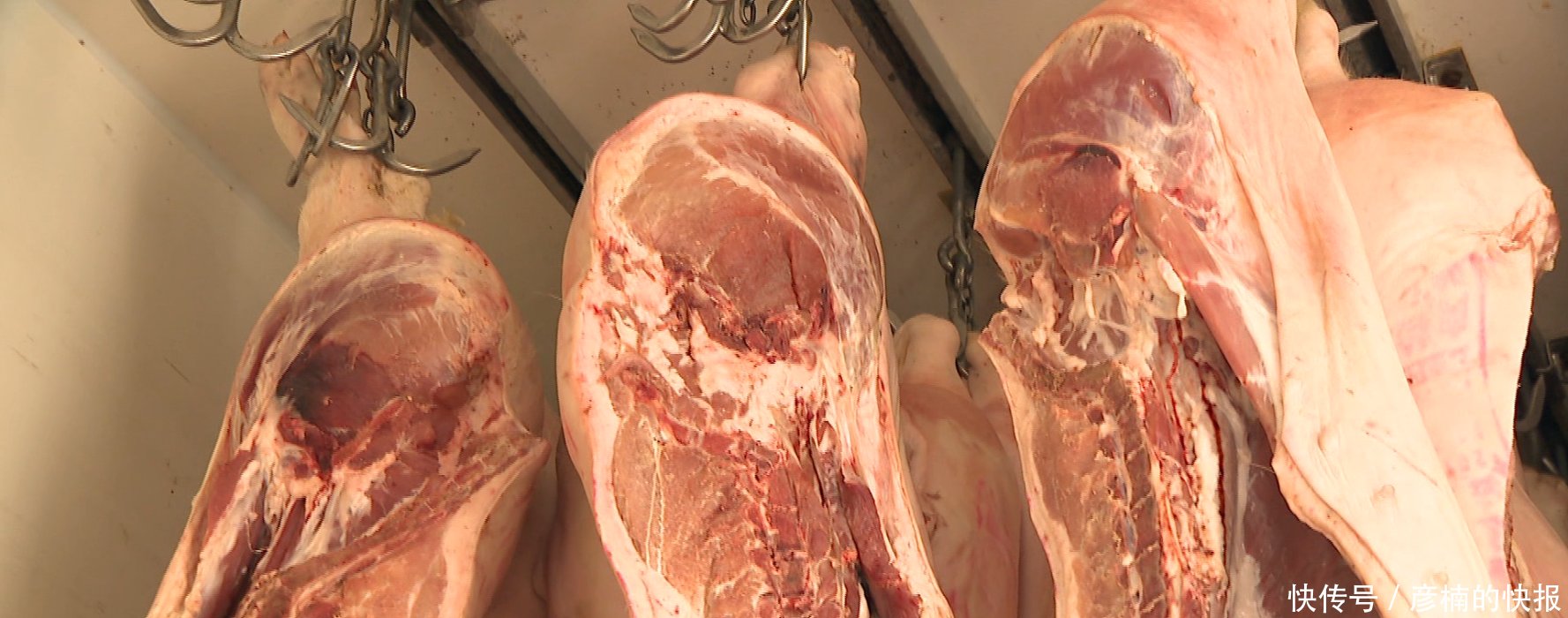 苏州长江路农副产品批发市场猪肉已变质 80头
