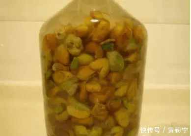 家庭式烧酒设备-黄皮酒的功效及酿制流程
