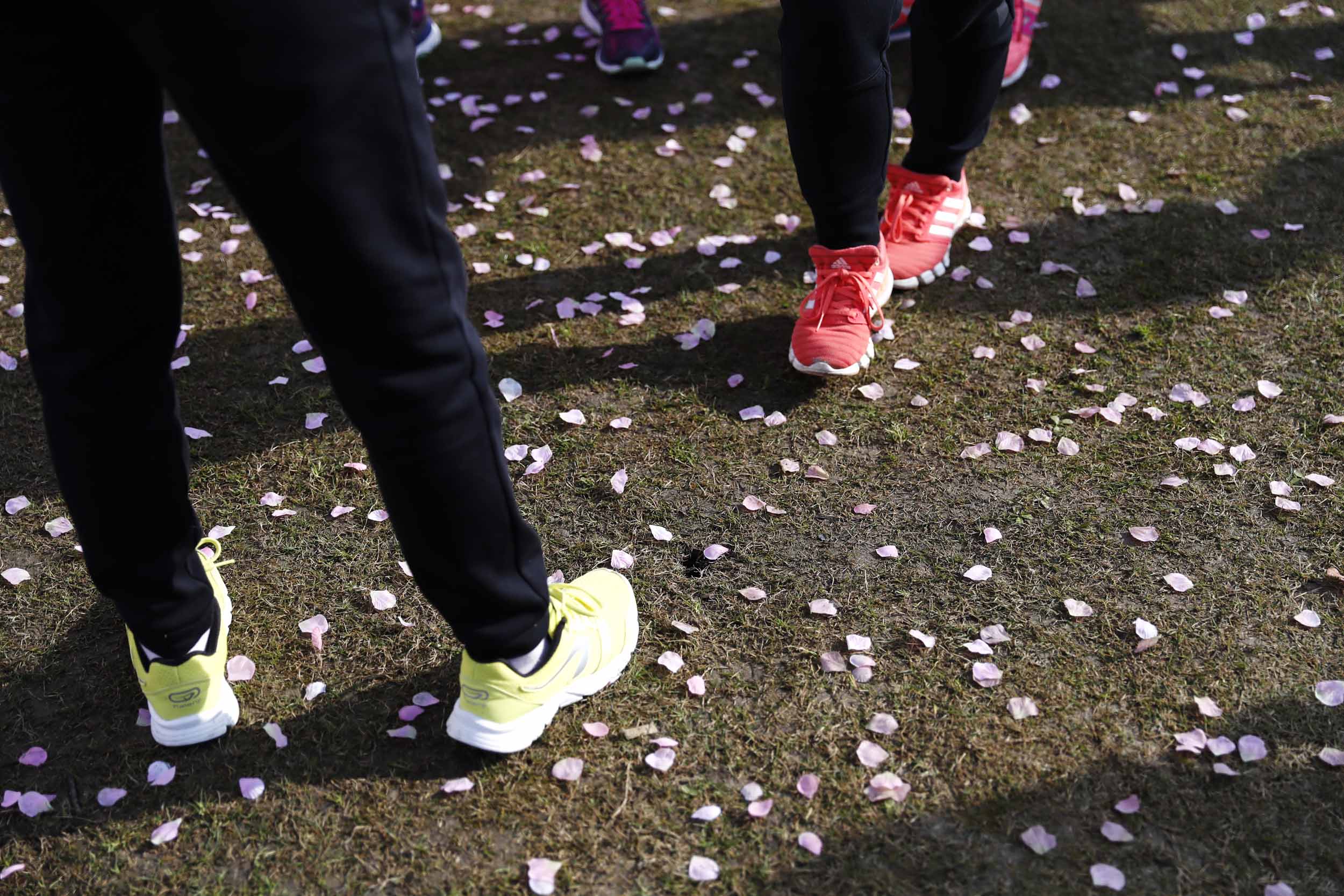 千人齐聚最美樱花跑 你的少女心还收得住吗?