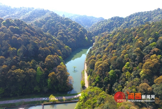 热带溪流生态系统,丰富的大型真菌资源,也是汀江源头重要的水源涵养