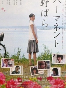 常开野蔷薇