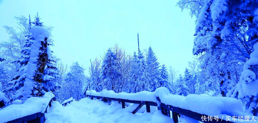 黑龙江最牛的4个县市,哈尔滨2个,绥化2个,大庆