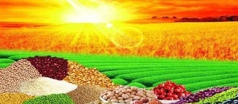 2018什么项目有前景?农村创业赚钱可以考虑这