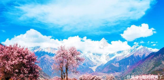 在西藏真的适合一个人穷游吗?看看他们的菜单