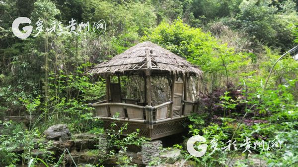 旅游|湄潭:我与湄潭之间 只隔着一张车票