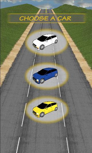 Speed Up Car Driving 3D截图5