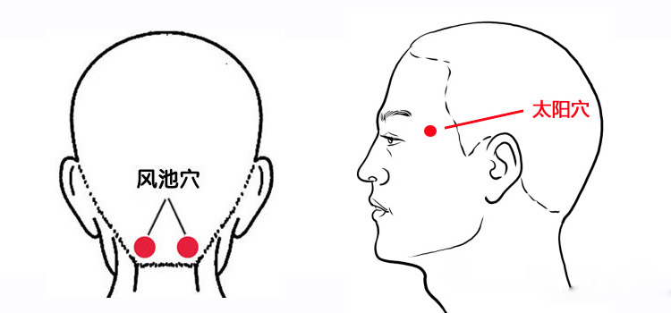 按摩双侧风池穴,翳风二穴 风池穴在项部,枕骨之下,微低头,耳后高骨后