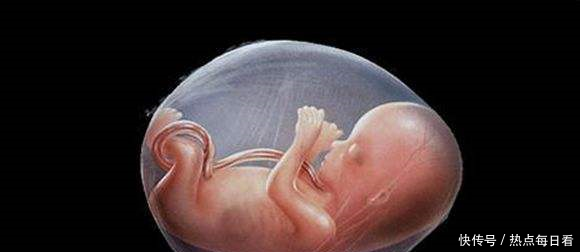 胎儿在妈妈肚子里待十个月,但智力发育只在这