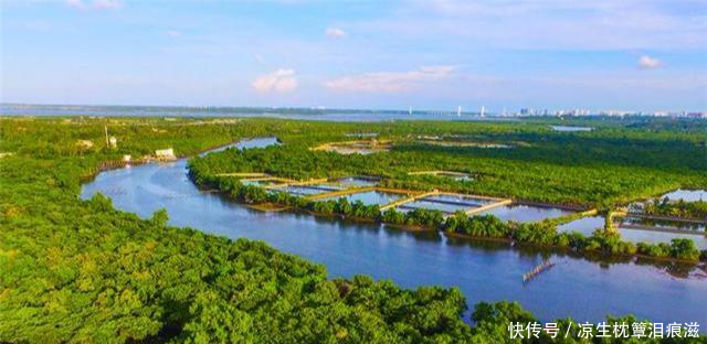 深圳想去深圳旅游,有哪些地方是必去的十大景