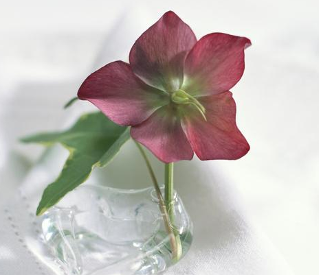 我是属猪的,未婚,想问问我的事业运势,今年财运怎么啊样乔?