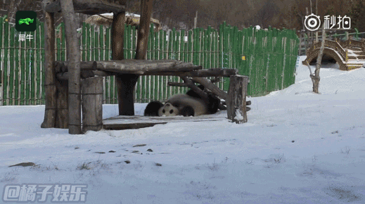 【gif】