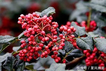 t0190ee2849c5cb903d.jpg