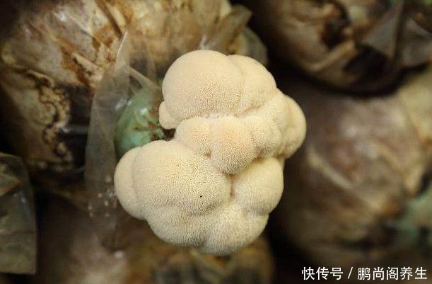 乳腺增生的“死对头”，女人每天吃几口，化瘀散结一身轻松