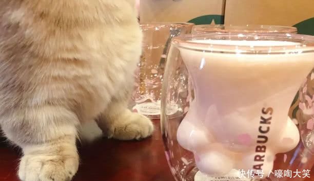 1000元买猫爪杯太亏?但是买灭霸杯却超值,根