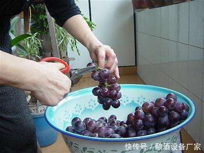 水果白酒技术-自己做葡萄酒怎么做?