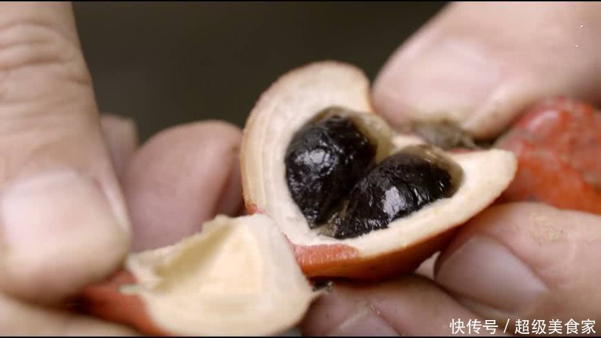 世界上最甜的水果,1颗能抵10斤白糖,甜度是甘蔗的3000倍!
