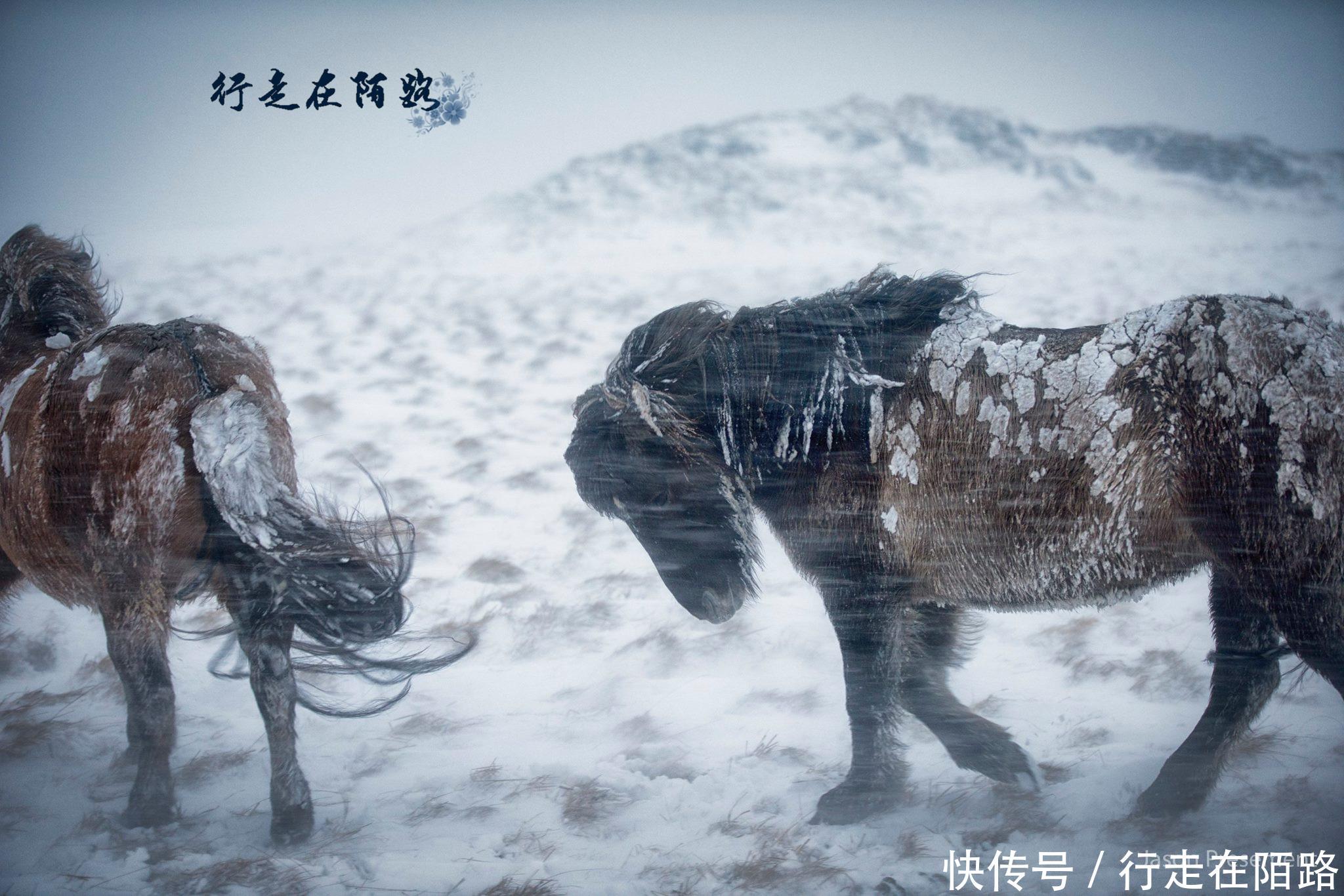 欧洲人口密度最低的国家:人均年收入43万,却无人愿意移民