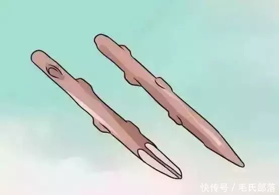 果树栽培技术 | 果树嫁接技术图解