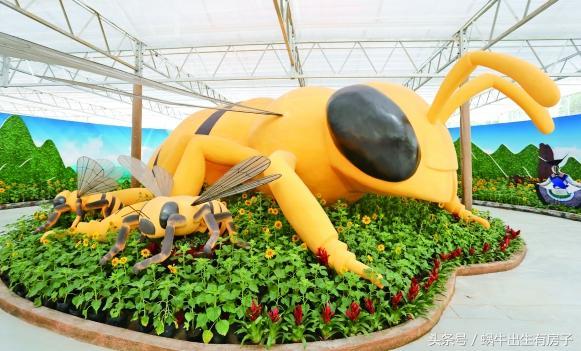 利用温室大棚玩好创意农业、引爆休闲农业