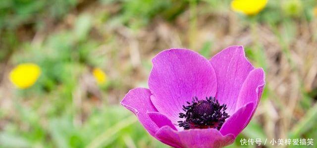 深度好文树立目标,向着目标冲刺!