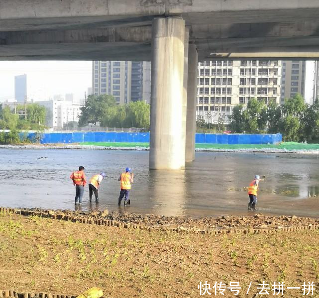 看了下面这些画面, 你就知道青岛这座城市为何如此干净了