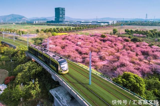 江浙沪又一网红打卡地！有轨电车穿过海棠花海，2元直达太湖