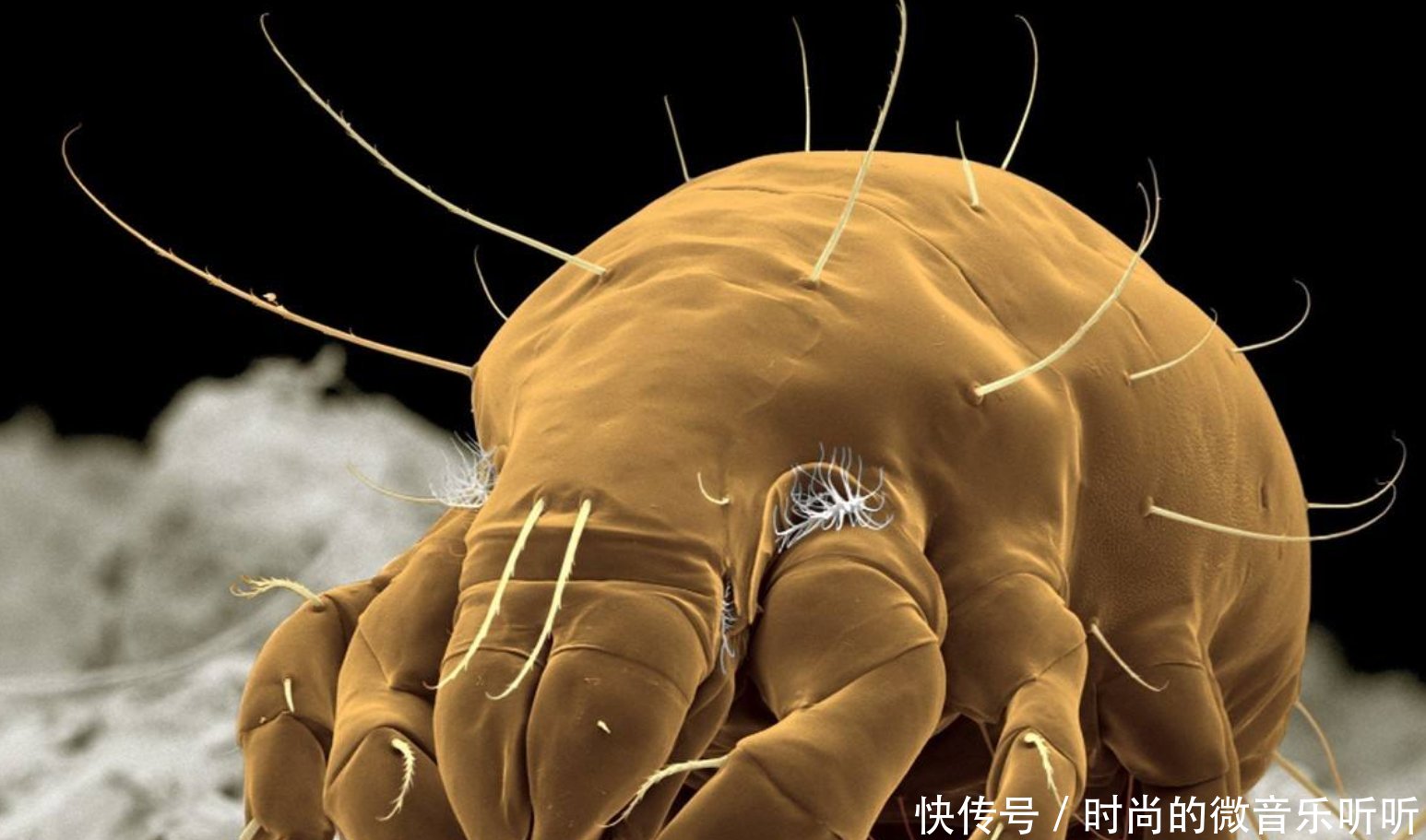 如何购买成人用品