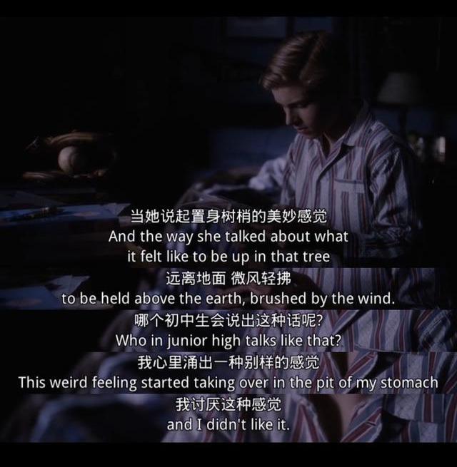 电影《怦然心动》中的经典台词:你最喜欢哪一