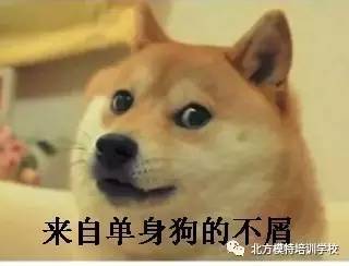 对得起广大无虐不欢的单身狗吗?