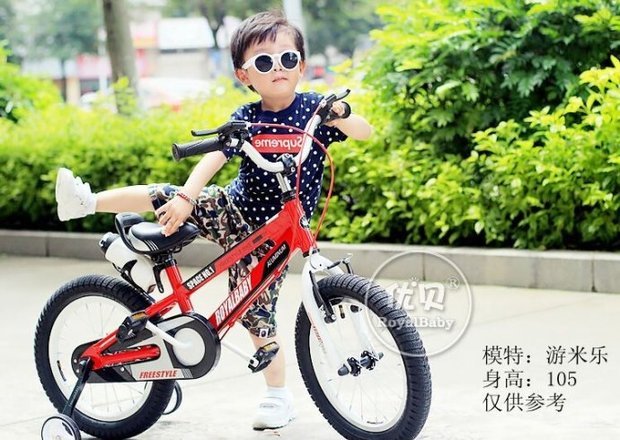 t019f224c3aad44de69.jpg
