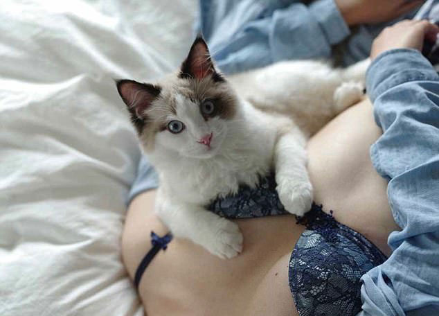 咪咪与咪咪的故事 猫与美胸合照 抚慰人心 有益健康(组图) - 5