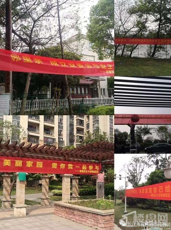 长沙碧桂园业委会筹备引发的红绿对垒!