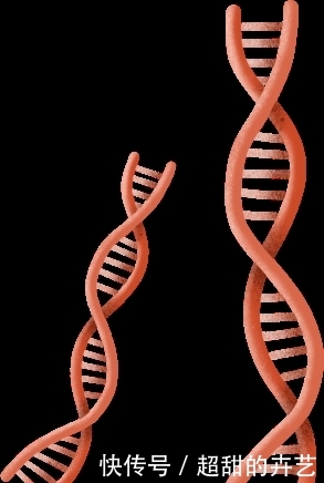 贵州省计划生育条例