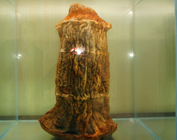 农民山上捡到一块“大肥肉”,拿去专家鉴定后,农民乐开了花