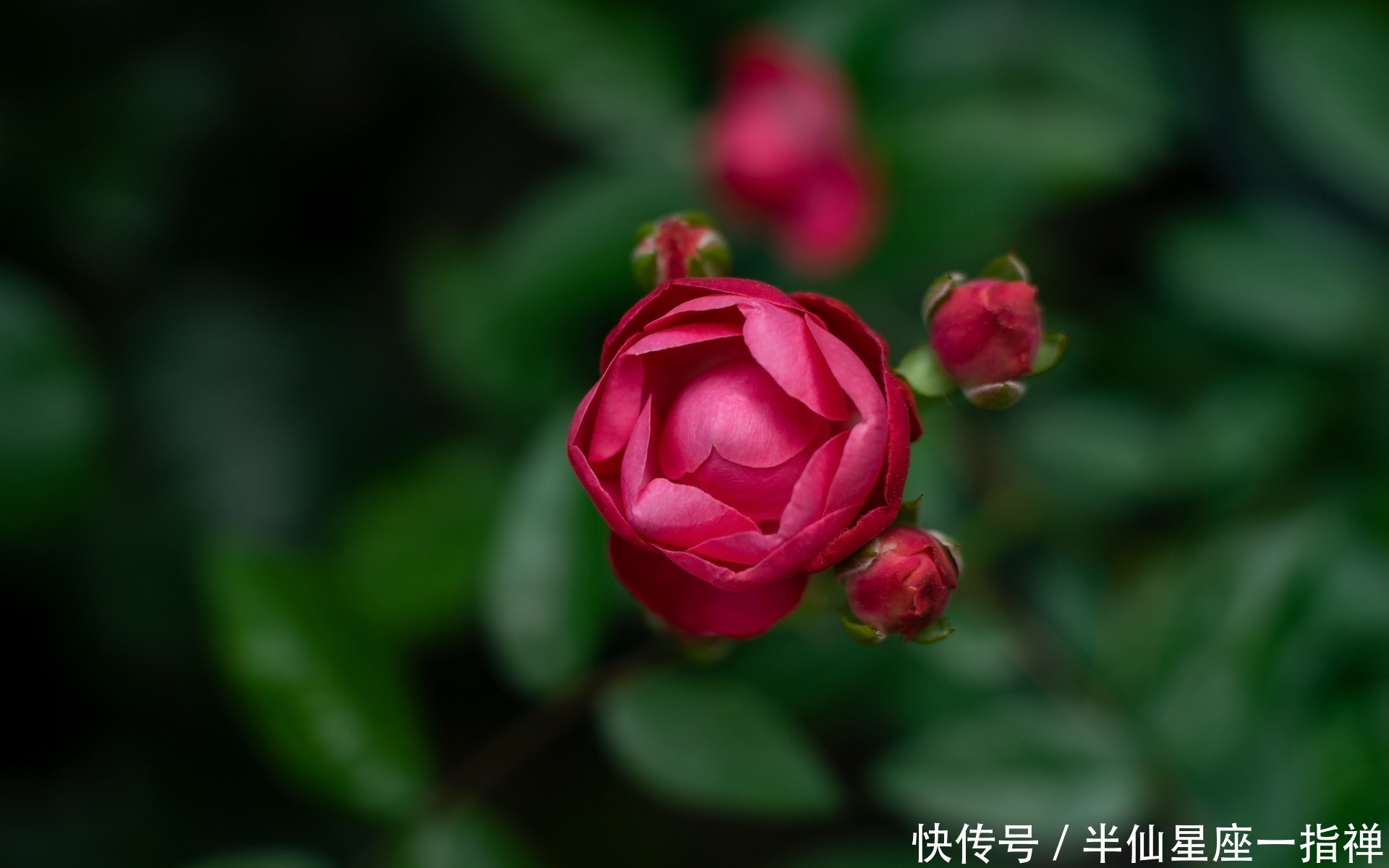 算命先生说,9月大发横财,数钱数到手软,狗年不